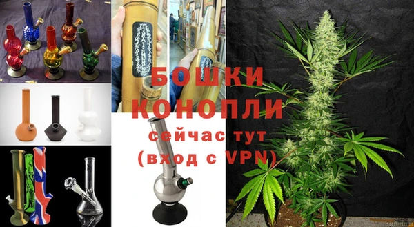 стафф Белокуриха