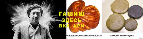 стафф Белокуриха